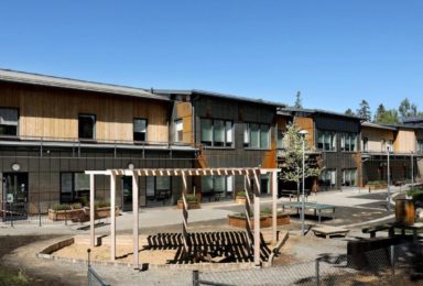 Holzhauswandelemente