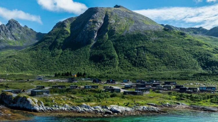 Lyngvaer