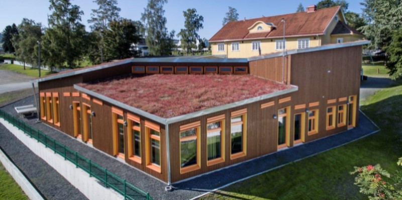 skole