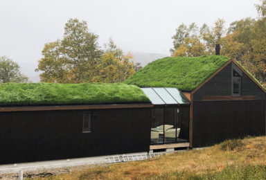 Element house
